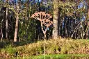MD14088.webp