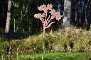 MD14089.webp