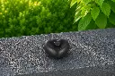FV0628BR-DB.webp