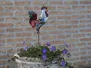 MD16213.webp
