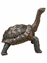 B1485-1.webp