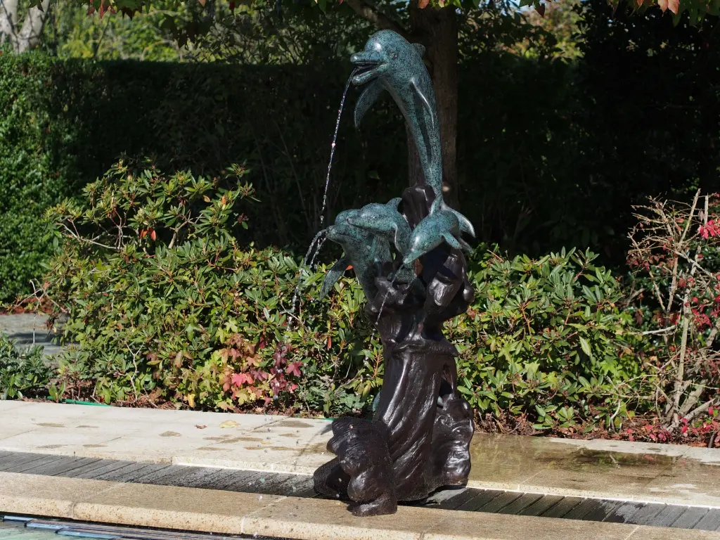 B56008 (1).webp