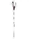 MD60007.webp