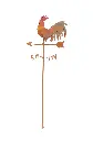 MD17573.webp