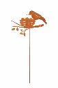 MD14127.webp