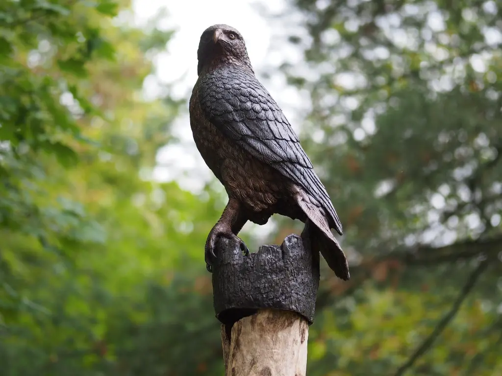 B1585 (2).webp