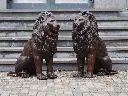 PA203330.webp