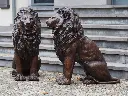 PA203328.webp