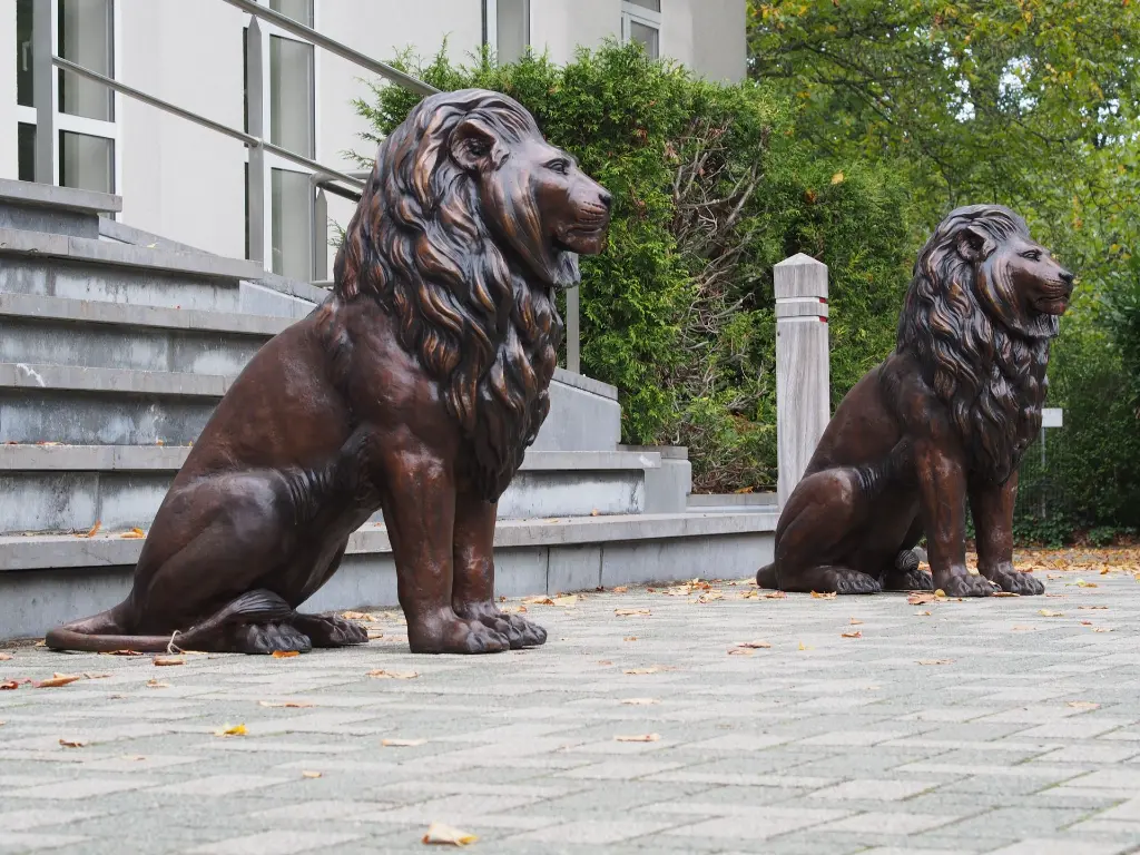 PA203325.webp