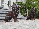 PA203325.webp