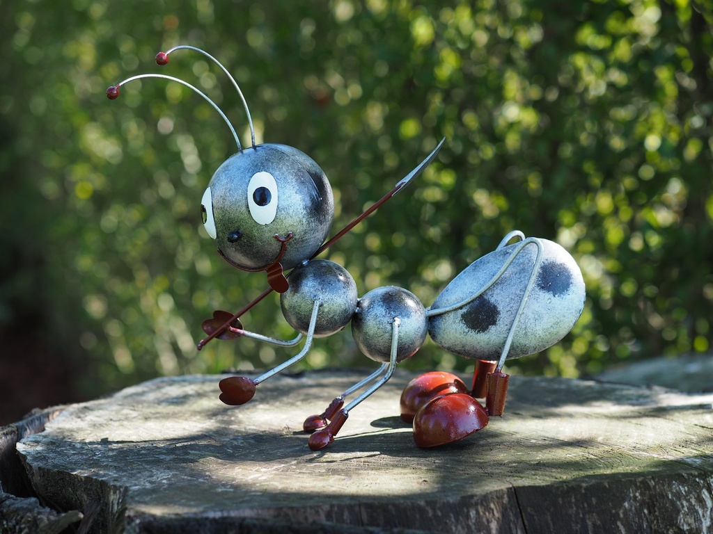 Afbeelding