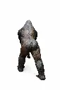 B1422_02.webp