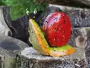 MD16166.webp
