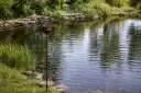 MD70070