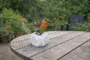 BS1543C