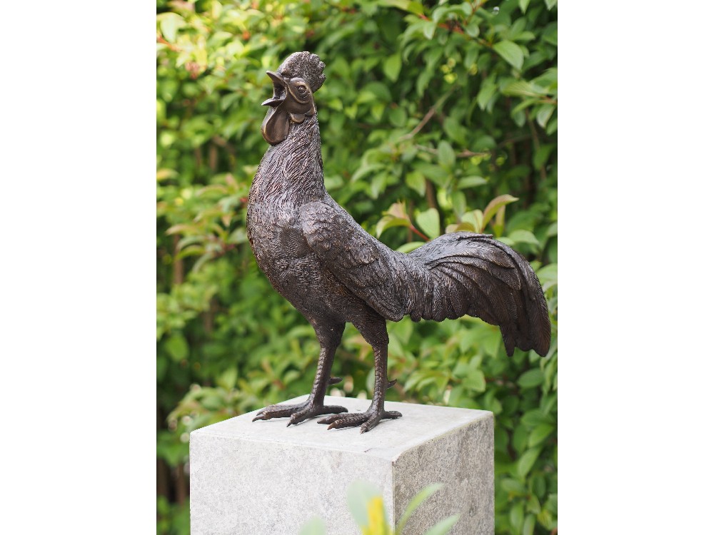 BS0484B