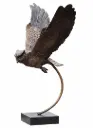 BS2209B