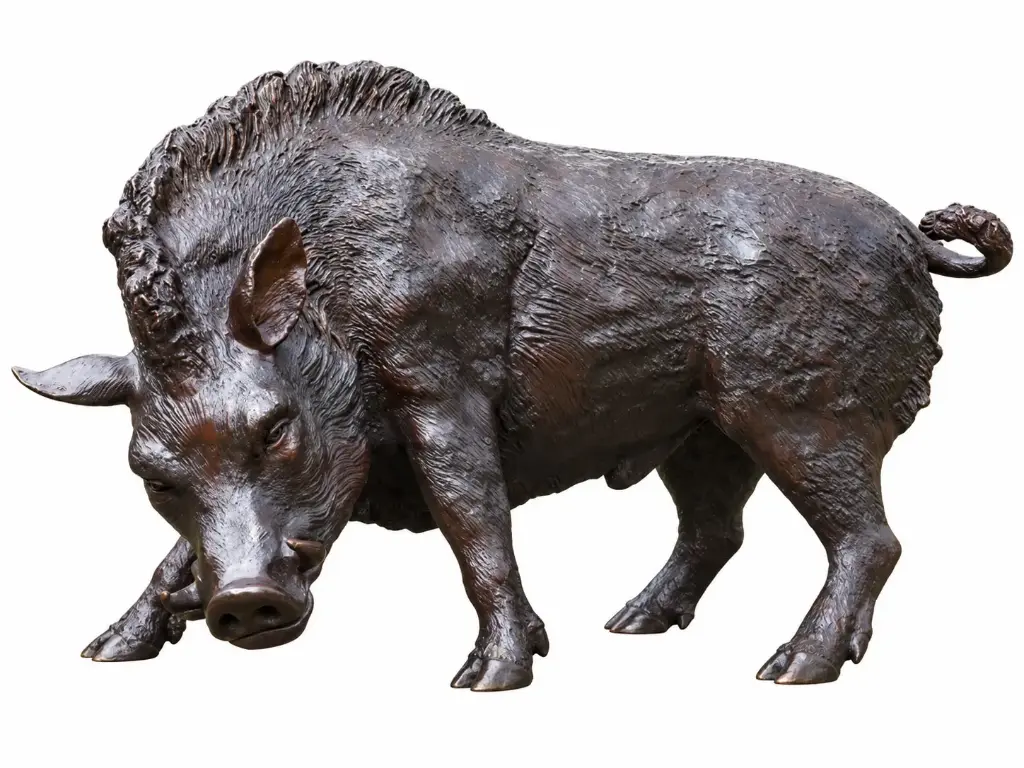 B56172