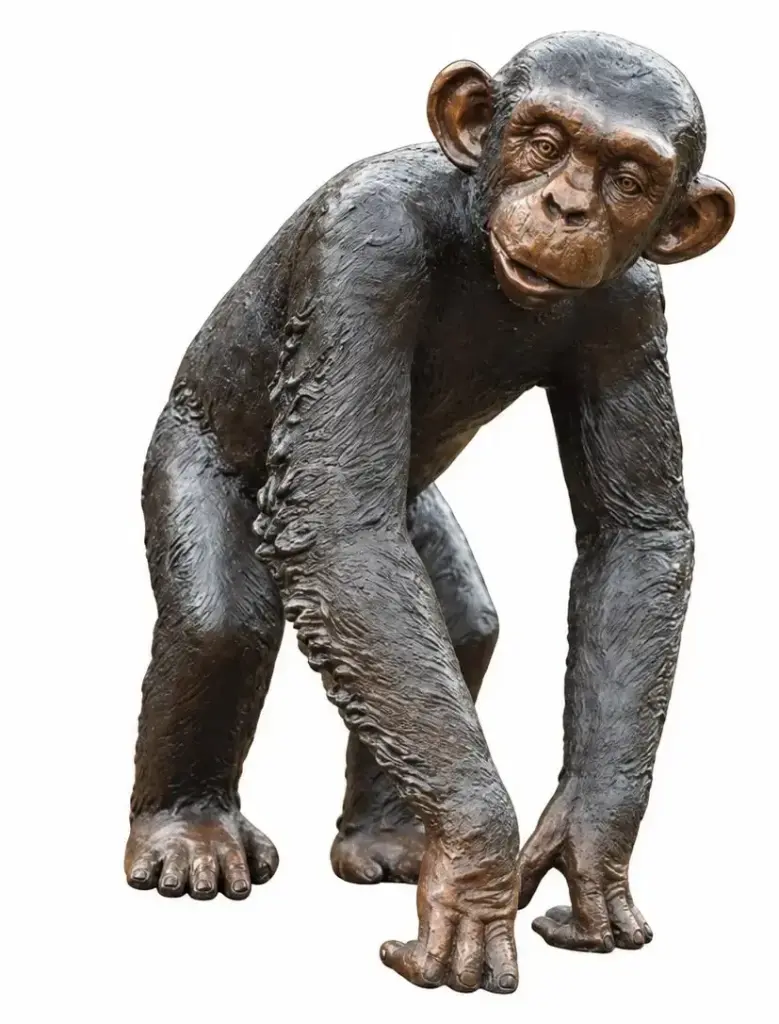B59265
