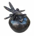 FV0419BR-BI