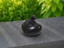 FV0629BR-DB