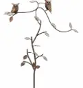 MD19607