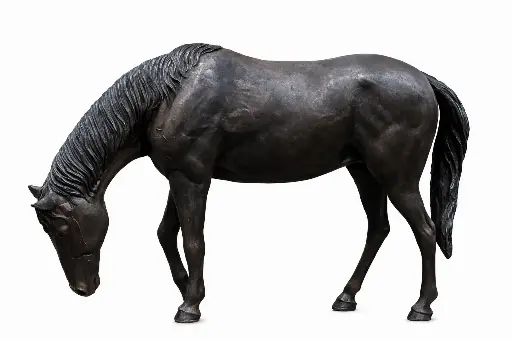 B1155R