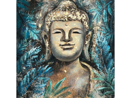 CD008003