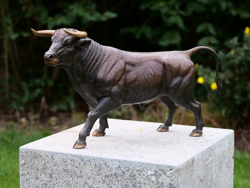 BS1307B