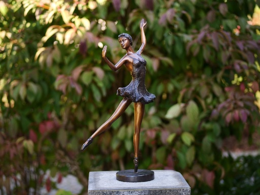 BS1318B