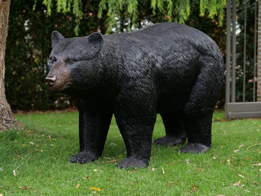 B1277