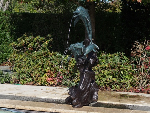 B56008
