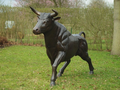 B96009