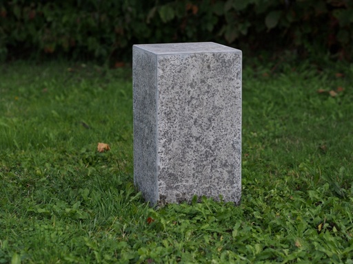 BF2545