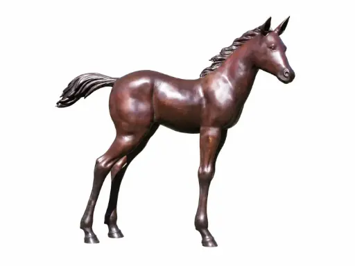 PB61081